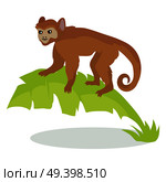 Monkey cartoon character.  Monkey on palm leaves flat vector isolated on white. African fauna. Ape in jungle icon. Wild animal illustration for zoo ad, nature concept, children book illustrating. Стоковая иллюстрация, агентство Ingram Publishing / Фотобанк Лори