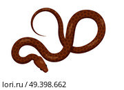 Curved slither python top view icon. Creeping glossy spotted brown tropical snake eves vector isolated on white background. Crawling poisonous reptile illustration for wild nature concepts, zoo ad. Стоковая иллюстрация, агентство Ingram Publishing / Фотобанк Лори