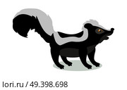 Skunk cartoon character. Cute Skunk  flat vector isolated on white background. North America and Eurasia fauna. Skunk icon. Animal illustration for zoo ad, nature concept, children book illustrating. Стоковая иллюстрация, агентство Ingram Publishing / Фотобанк Лори