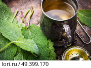 Brewed delicious herbal tea with sage on retro background. Herbal tea with sage. Стоковое фото, агентство Ingram Publishing / Фотобанк Лори