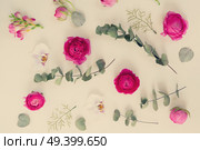 Flowers composition. Pattern made of eucaliptus leaves and ranunculus flowers on white background. Flat lay, retro toned. Flowers flat lay composition. Стоковое фото, агентство Ingram Publishing / Фотобанк Лори