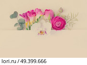 Flowers layout for cards, wedding invitation, posters, save the date or greeting design. Frame made of eucaliptus leaves and flowers on white background, retro toned. Flowers flat lay composition. Стоковое фото, агентство Ingram Publishing / Фотобанк Лори