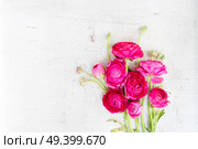 Floral composition - ranunculus flowers on white wooden background. Flat lay, top view, copy space. Flowers flat lay composition. Стоковое фото, агентство Ingram Publishing / Фотобанк Лори