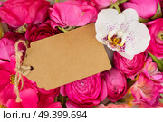 Flowers composition. Floral background made of made of dried eucaliptus leaves and flowers. Flat lay, top view, copy space. Flowers flat lay composition. Стоковое фото, агентство Ingram Publishing / Фотобанк Лори