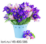 Blue irises and pik tulips in metal pot isolated on white background. Blue irises and pik tulips. Стоковое фото, агентство Ingram Publishing / Фотобанк Лори