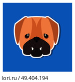 Dolorous muzzle of English bulldog drawn icon on blue background. Vector illustration of shorthaired breed of dogs. Two fangs sticking out of closed canine mouth. Hand drawing graphic design.. Dolorous Muzzle of English Bulldog Drawn Art Icon. Стоковая иллюстрация, агентство Ingram Publishing / Фотобанк Лори