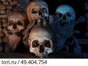skulls in Kostnice church in the Czech town of Kutna Hora. Стоковое фото, агентство Ingram Publishing / Фотобанк Лори