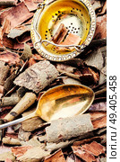 Texture of drug from aspen bark.Herbal medicine.Herbalism.Chinese herbal medicine. Natural aspen bark. Стоковое фото, агентство Ingram Publishing / Фотобанк Лори