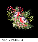 Beautiful watercolor Christmas bouquet with bullfinch birds, pine cones and Christmas tree. Illustration. Beautiful watercolor Christmas bouquet with bullfinch birds, pine cones and Christmas tree. Стоковое фото, агентство Ingram Publishing / Фотобанк Лори