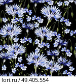 Watercolor seamless pattern with forget me not flowers and cornflowers. Illustration. Watercolor seamless pattern with forget me not flowers and cornflowers. . Стоковое фото, агентство Ingram Publishing / Фотобанк Лори