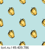 Sweet ripe Bulgarian pepper isolated sketch endless texture. Tasty and healthy ripe vegetable seamless pattern on blue background.. Sweet Pepper Illustration inside Endless Texture. Стоковая иллюстрация, агентство Ingram Publishing / Фотобанк Лори