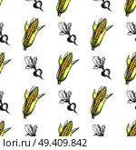 Corn cob and monochrome sweet beet isolated vector illustration formed in endless texture. Delicious and healthy vegetables seamless pattern.. Corn Cob and Monochrome Sweet Beet Endless Texture. Стоковая иллюстрация, агентство Ingram Publishing / Фотобанк Лори