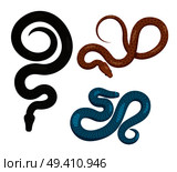 Curved slither pythons or venomous snakes from top view set. Creeping black, blue and brown tropical python vector isolated on white. Crawling poisonous reptile illustration for wild nature concepts. Стоковая иллюстрация, агентство Ingram Publishing / Фотобанк Лори