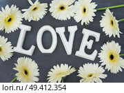 Beige gerbera flowers frame on dark wood with love letters. Beige gerbera flowers. Стоковое фото, агентство Ingram Publishing / Фотобанк Лори
