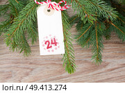 evergreen tree and christmas tag for 24 december. Стоковое фото, агентство Ingram Publishing / Фотобанк Лори