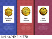 Premium brand best quality choice golden labels set of logos design on colorful posters with text vector illustrations collection with stamps of gold. Premium Brand Best Quality Choice Golden Label Set. Стоковая иллюстрация, агентство Ingram Publishing / Фотобанк Лори
