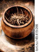 Dried rhizomes and roots of valerian medicinal. Medicinal herbs. Dried Valerian roots. Стоковое фото, агентство Ingram Publishing / Фотобанк Лори