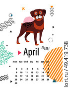 April calendar for 2018 year with loyal rottweiler. Noble breed of dog on wall poster with dates of spring month cartoon vector illustration.. April Calendar for 2018 Year with Loyal Rottweiler. Стоковая иллюстрация, агентство Ingram Publishing / Фотобанк Лори