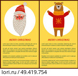 Merry Christmas banners with Santa Claus and bear dressed in knitted sweater with snowflake. Vector illustration festive symbols and congratulations. Merry Christmas Banners Vector Santa and Bear Set. Стоковая иллюстрация, агентство Ingram Publishing / Фотобанк Лори