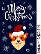 Merry Christmas and dog icon, cute domestic pet symbolizes New Years approaching, icons of snowflakes and stars with title vector illustration. Merry Christmas and Dog Icon Vector Illustration. Стоковая иллюстрация, агентство Ingram Publishing / Фотобанк Лори