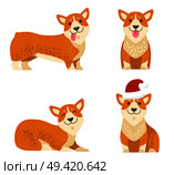 Dogs collection of icons, domestic pets and happy mood, canines with sticked out tongue, closed eyes, wearing red Christmas hat vector illustration. Dogs Collection of Icons, Vector Illustration. Стоковая иллюстрация, агентство Ingram Publishing / Фотобанк Лори