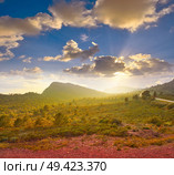 Garbi peak sunset at Calderona Sierra of Valencia at spain. Стоковое фото, агентство Ingram Publishing / Фотобанк Лори