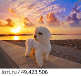 Denia sunset from Las Rotas beach in alicante of Spain. Стоковое фото, агентство Ingram Publishing / Фотобанк Лори