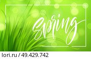 Frash Spring green grass background with handwriting lettering. Vector illustration EPS10. Frash Spring green grass background with handwriting lettering. Vector illustration. Стоковая иллюстрация, агентство Ingram Publishing / Фотобанк Лори