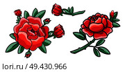 Closeup of several red roses, flourishing ones and flower with bud ready to impress everybody with its beauty on vector illustration isolated on white. Closeup of Red Rose on Poster Vector Illustration. Стоковая иллюстрация, агентство Ingram Publishing / Фотобанк Лори