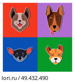 Funny cartoon puppies collection heads, flat vector isolated on color backgrounds. Lovely purebred pets illustration for animal friend concept, shop or veterinary clinic ad. Cute Dogs Muzzles Cartoon Flat Vector Icons. Стоковая иллюстрация, агентство Ingram Publishing / Фотобанк Лори
