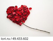 Сердце из лепестков розы на ветке. Стоковое AI-изображение, AI-художник Александр Жуков / Фотобанк Лори
