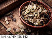 Dried lingonberry leaves in traditional medicine.Dried medical plant. Cowberry healing foliage. Стоковое фото, агентство Ingram Publishing / Фотобанк Лори