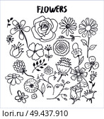 Set of hand drawn flowers vector illustration with cute black sketches of roses chamomiles lilys violets orchid aster poppies and other lovely flowers. Set of Hand Drawn Flowers Vector Illustration. Стоковая иллюстрация, агентство Ingram Publishing / Фотобанк Лори