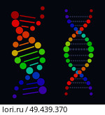 DNA colorful sign on poster with place for text, deoxyribonucleic DNA acid chain carrying genetic instructions used in functioning and reproduction vector. DNA Deoxyribonucleic Acid Chain Nucleotides Poster. Стоковая иллюстрация, агентство Ingram Publishing / Фотобанк Лори