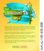 New offer discount sale spring poster with text and colorful snowdrop galanthus flowers vector web banner with push buttons read more and buy now. New Offer Discount Sale Spring Poster Text Flowers. Стоковая иллюстрация, агентство Ingram Publishing / Фотобанк Лори