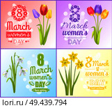 8 March womens day posters best wishes greeting cards set with tulips, snowdrops and yellow daffodil flowers vector illustration postcards on Womens day. 8 March Womens Day Posters Best Wish Greeting Card. Стоковая иллюстрация, агентство Ingram Publishing / Фотобанк Лори