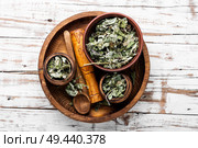 Dry leaves of coltsfoot on wooden background.Tussilago farfara.Herbal alternative medicine. Dry leafs of coltsfoot. Стоковое фото, агентство Ingram Publishing / Фотобанк Лори