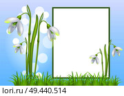 Frame for text and snowdrop galanthus bell shaped flowers vector illustration isolated on blurred blue sky background and green grass, border for greetings. Frame for Text and Snowdrop Galanthus Bell Flowers. Стоковая иллюстрация, агентство Ingram Publishing / Фотобанк Лори