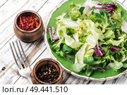 Fresh salad plate with mixed greens.Green meal.Vegetarian spring salad. Summer vitamin salad. Стоковое фото, агентство Ingram Publishing / Фотобанк Лори