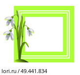 Greeting card with framing snowdrop galanthus bell shaped flower vector illustration isolated on white background. First spring blooming bulbous plant. Greeting Card with Framing Snowdrop Galanthus Bell. Стоковая иллюстрация, агентство Ingram Publishing / Фотобанк Лори