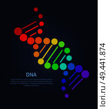 DNA colorful sign on poster with place for text, deoxyribonucleic acid chain carrying genetic instructions used in functioning and reproduction vector. DNA Deoxyribonucleic Acid Chain Nucleotides Poster. Стоковая иллюстрация, агентство Ingram Publishing / Фотобанк Лори