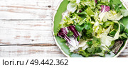 Fresh salad plate with mixed greens.Green meal. Healthy vegetarian salad. Стоковое фото, агентство Ingram Publishing / Фотобанк Лори