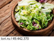 Fresh salad plate with mixed greens.Vegetarian spring salad. Spring vegetable salad. Стоковое фото, агентство Ingram Publishing / Фотобанк Лори