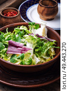 Fresh salad plate with mixed greens.Healthy food. Spring vegetable salad. Стоковое фото, агентство Ingram Publishing / Фотобанк Лори
