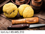 Maclura fruit, Adams apple.Powerful antioxidant. Maclura in folk medicine. Maclura orange or apple macaroni. Стоковое фото, агентство Ingram Publishing / Фотобанк Лори