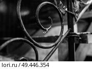 wedding rings with a wedding decor. Стоковое фото, агентство Ingram Publishing / Фотобанк Лори