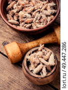 Pine buds for treating colds.Pine buds.Herbal medicine. Pine buds, natural healer. Стоковое фото, агентство Ingram Publishing / Фотобанк Лори