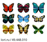 Butterflies types collection with colorful wings, antennas and heads papilionidae set of butterflies, vector illustration isolated on white background. Butterflies Types Collection Vector Illustration. Стоковая иллюстрация, агентство Ingram Publishing / Фотобанк Лори