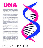 DNA deoxyribonucleic acid chain of nucleotides carrying genetic instructions used in growth development functioning and reproduction vector poster. DNA Deoxyribonucleic Acid Chain Nucleotides Poster. Стоковая иллюстрация, агентство Ingram Publishing / Фотобанк Лори