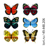Butterflies types collection with colorful wings, antennas and heads papilionidae set of butterflies, vector illustration isolated on white background. Butterflies Types Collection Vector Illustration. Стоковая иллюстрация, агентство Ingram Publishing / Фотобанк Лори